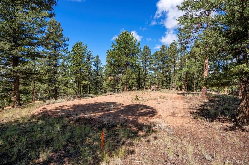 210 Donzi Trl, Florissant, CO 80816