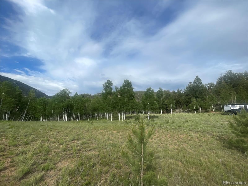 171 Emerald Way, Lake George, CO 80827