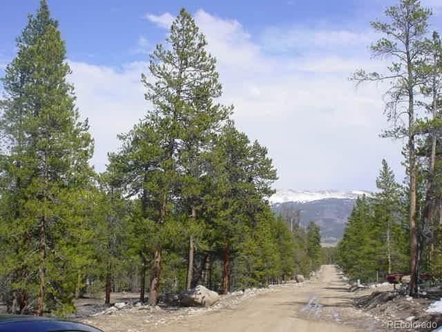 833 Peak View Dr, Twin Lakes, CO 81251