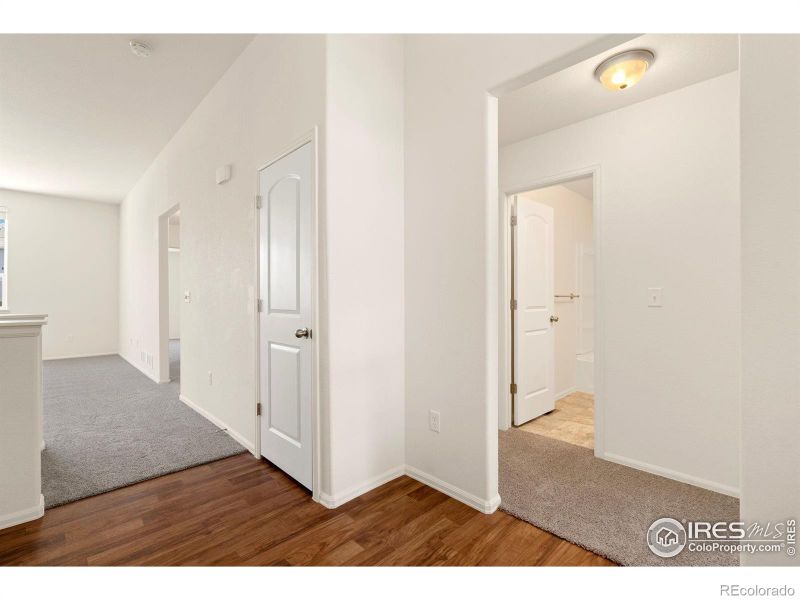 1649 Rise Dr, Windsor, CO 80550