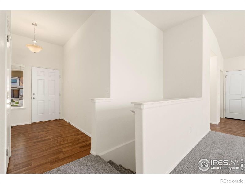 1649 Rise Dr, Windsor, CO 80550