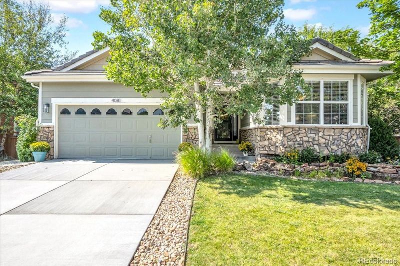 4081 Kestrel Pl, Castle Rock, CO 80109