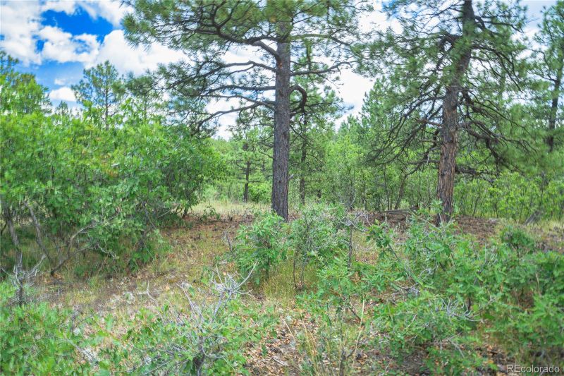 18990 Bellanca Cir, Weston, CO 81091