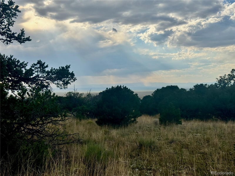 00015 Clear Brook Pl, Mosca, CO 81146