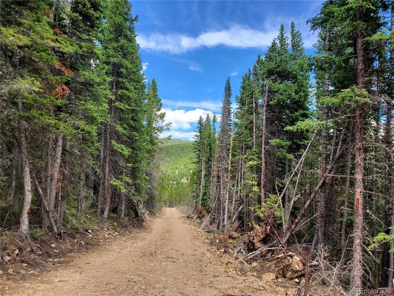 01 S Spring Gulch Rd Lot 1961-051-00-612, Idaho Springs, CO 80452