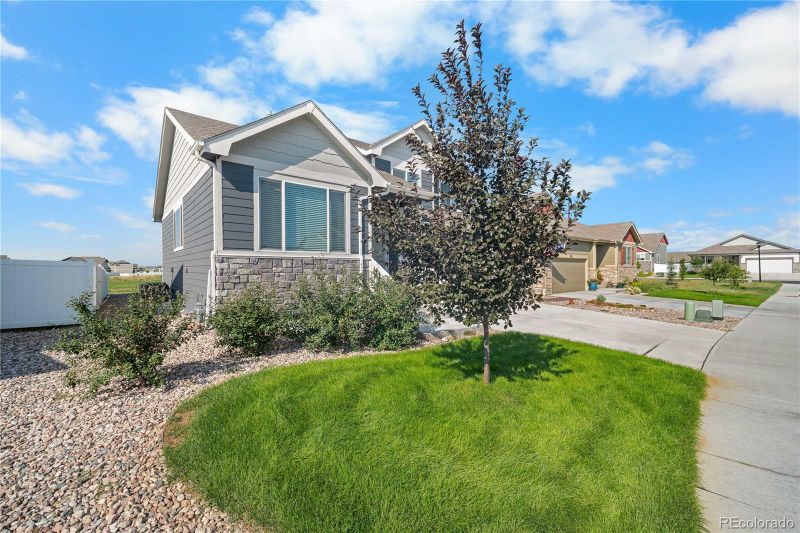 374 Littlebrook Ct, Windsor, CO 80550