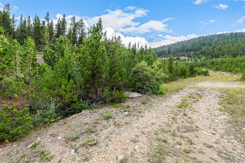 Aspen Rd Lot 312, Idaho Springs, CO 80452