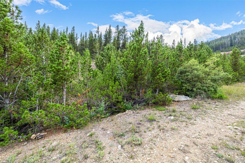 Aspen Rd Lot 312, Idaho Springs, CO 80452