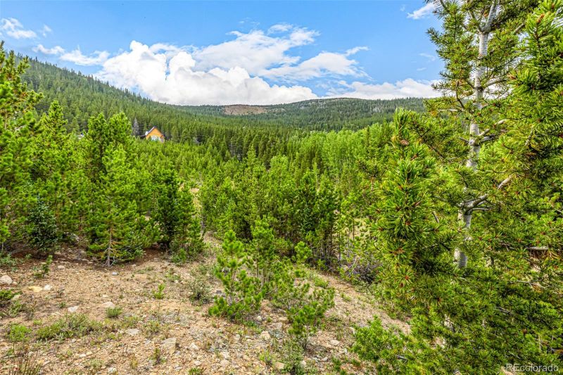 Aspen Rd Lot 312, Idaho Springs, CO 80452