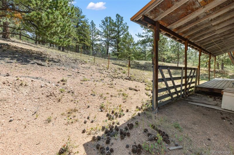 272 Spring Valley Trl, Florissant, CO 80816