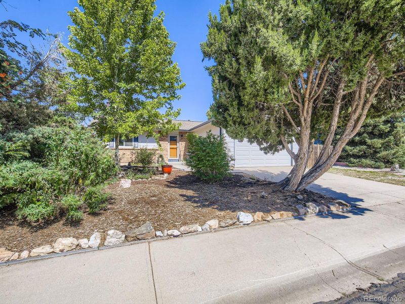 722 Parkview Mountain Dr, Windsor, CO 80550