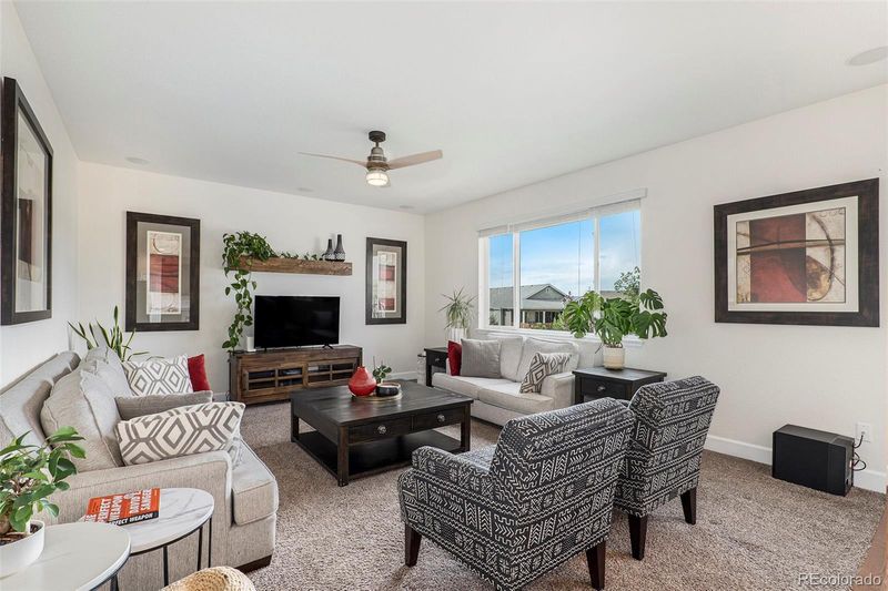 1345 Castle Creek Cir, Castle Rock, CO 80104