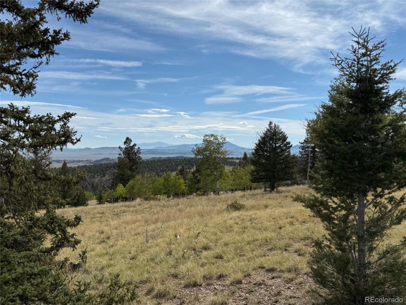 350 Kaufman Rd Lot 1203, Hartsel, CO 80449