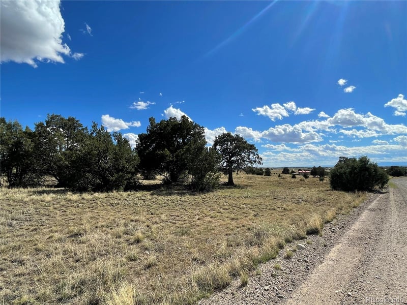 10 Brook Trout Rd, Crestone, CO 81131