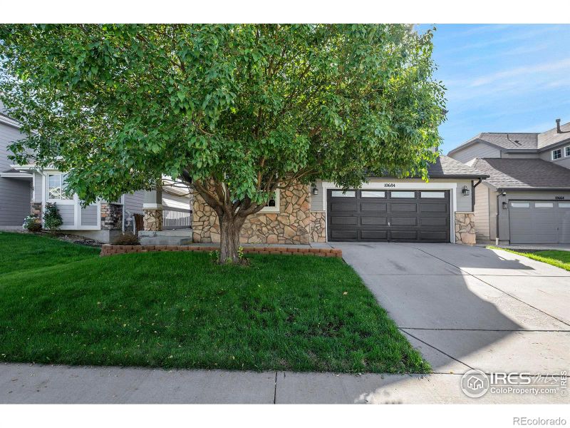 10684 Lewiston St, Commerce City, CO 80022