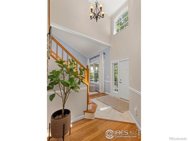 732 Paschal Dr, Lafayette, CO 80026