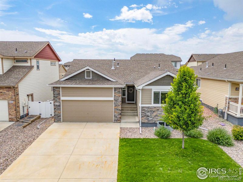 619 Rosedale St, Severance, CO 80550
