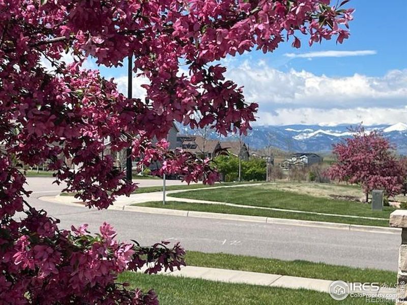 620 Sundance Cir, Erie, CO 80516