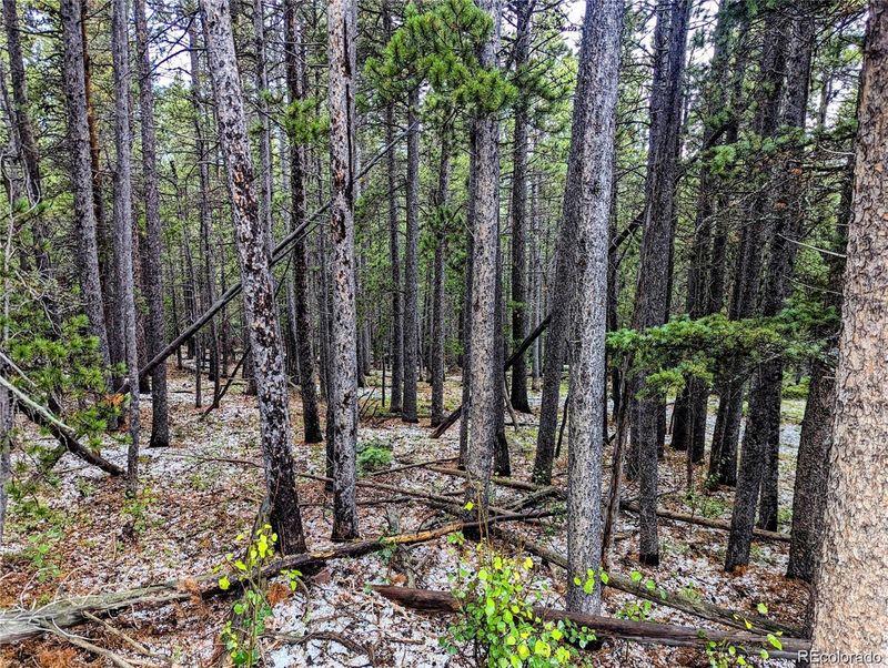Lot 3190 Zipf Ln, Fort Garland, CO 81133