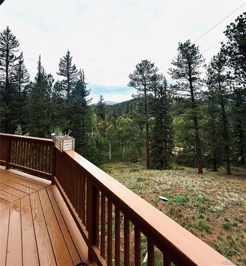 33751 Nova Rd, Pine, CO 80470