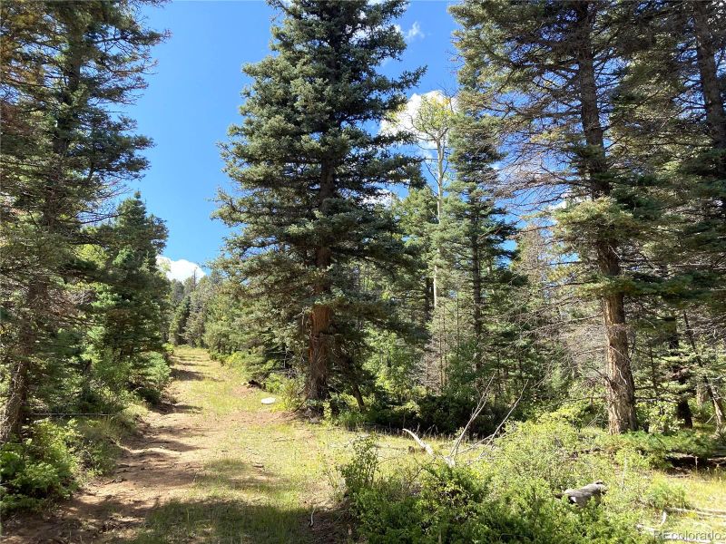 TBD L 27 Copper Mountain Rd, Cotopaxi, CO 81223