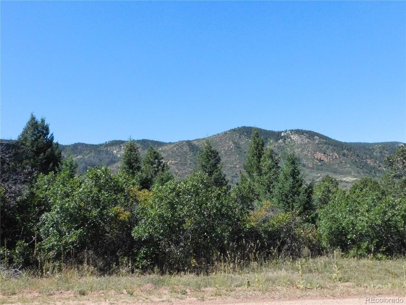 6315 Thunderbird Rd, Larkspur, CO 80118