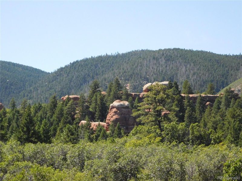 6315 Thunderbird Rd, Larkspur, CO 80118