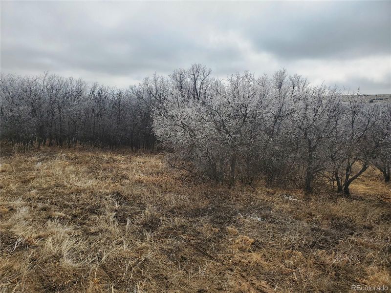 000 Thacker Rd, Colorado City, CO 81069