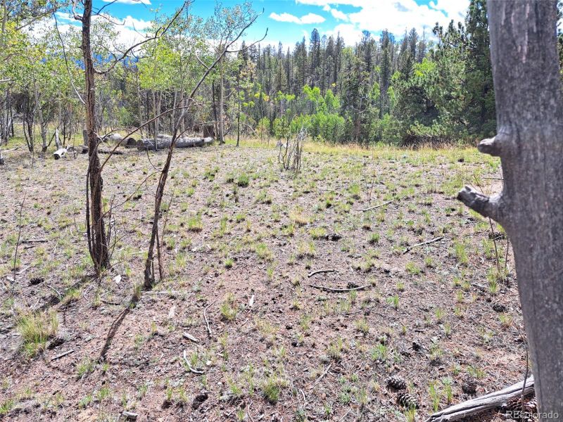 6452 Remington Rd, Como, CO 80432