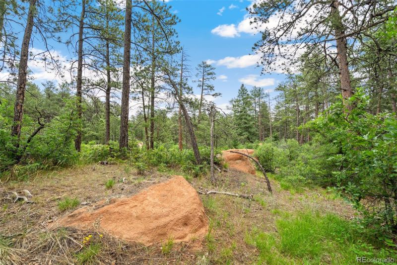 4580 Delaware Dr, Larkspur, CO 80118