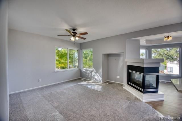 989 Eaton St, Castle Rock, CO 80104