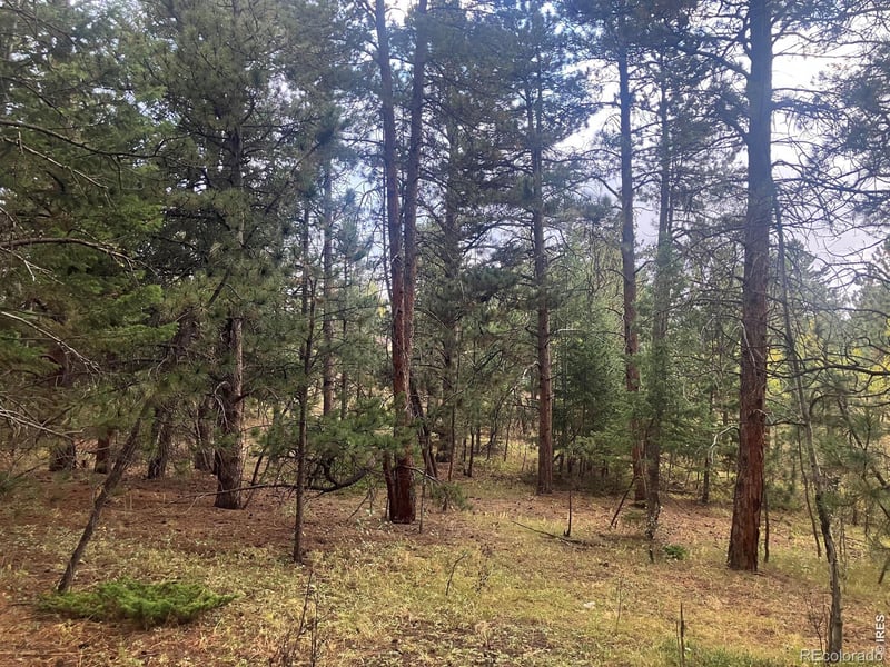 505 Lakeshore Dr, Boulder, CO 80302