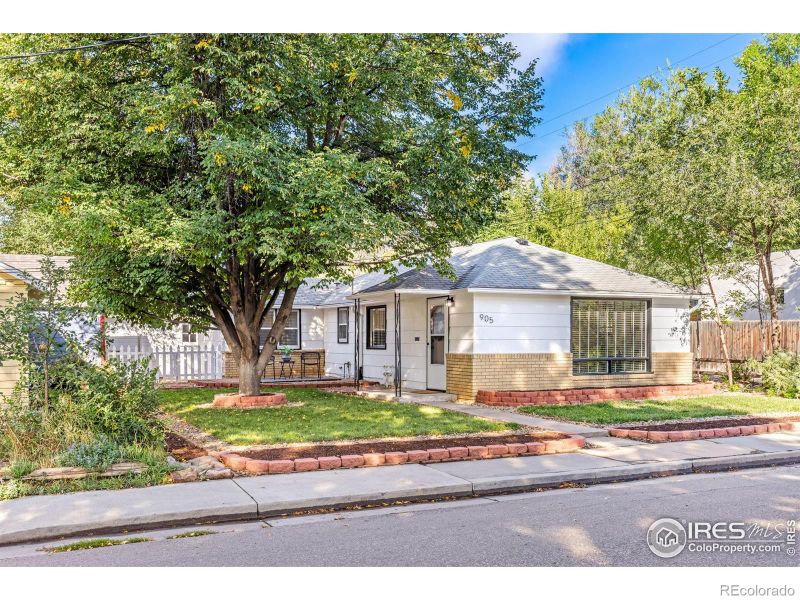905 Harrison Ave, Loveland, CO 80537