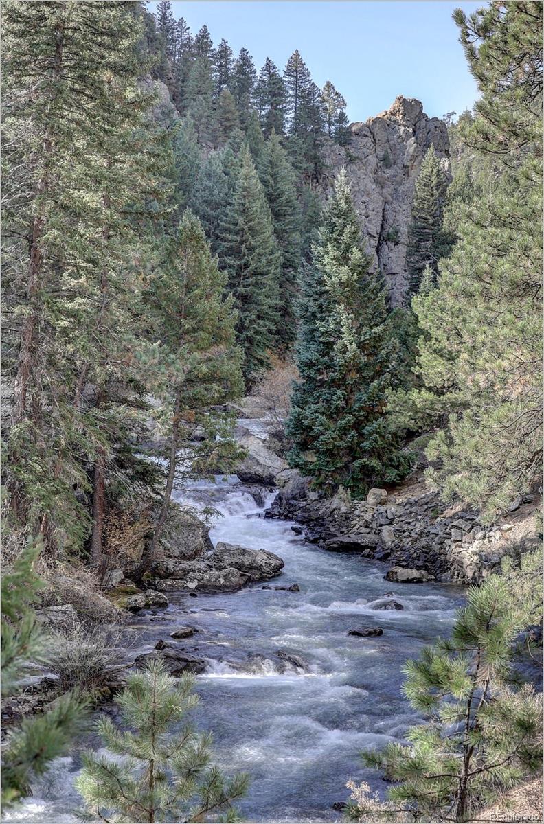 770 Holmes Gulch Way, Bailey, CO 80421