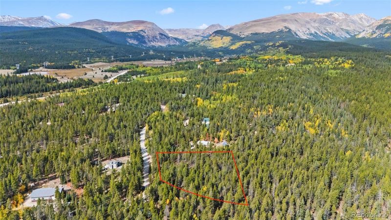 401 Willow Ln, Fairplay, CO 80440