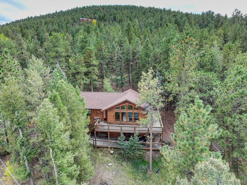 174 Sleepy Hollow Dr, Bailey, CO 80421