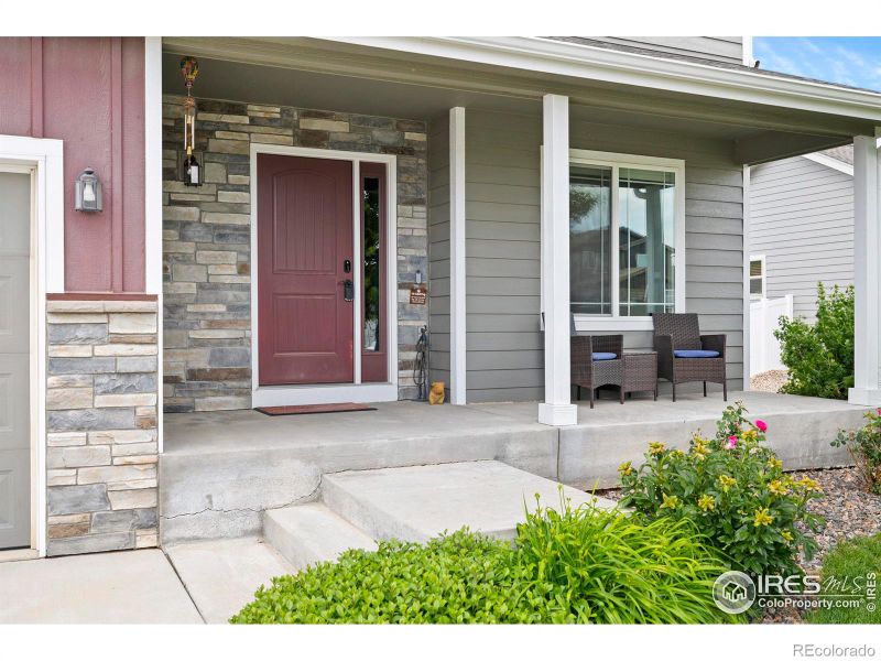 6951 Sumner St, Wellington, CO 80549