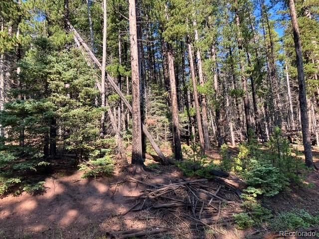 Lot 3427 Grojean Dr Lot 3427, Fort Garland, CO 81133