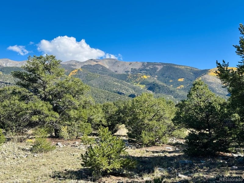 133 Cedar Ridge Rd Lot 4, Mosca, CO 81146
