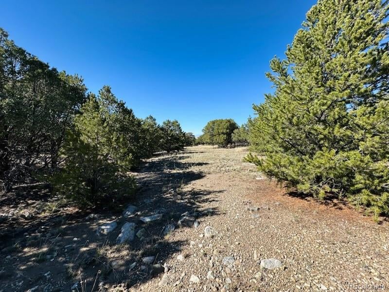 133 Cedar Ridge Rd Lot 4, Mosca, CO 81146