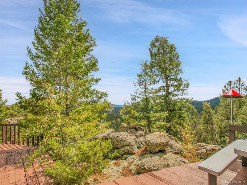 29752 Bearcat Trl, Conifer, CO 80433