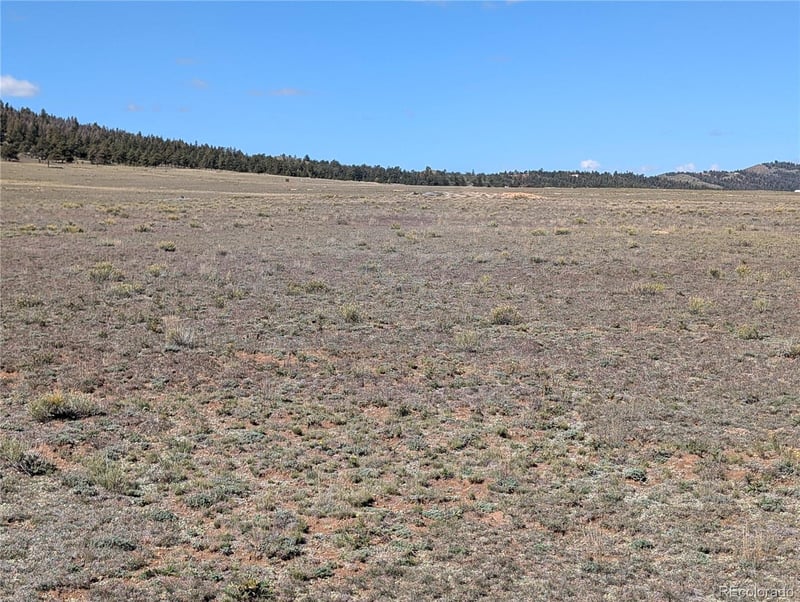 2895 Summit Rd Lot 37, Hartsel, CO 80449