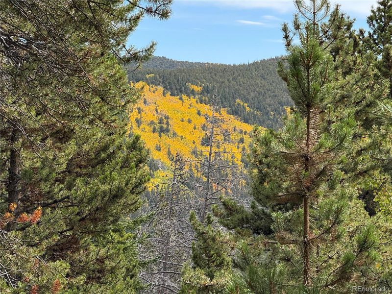 Lot 408 Glory Hole Rd, Idaho Springs, CO 80452