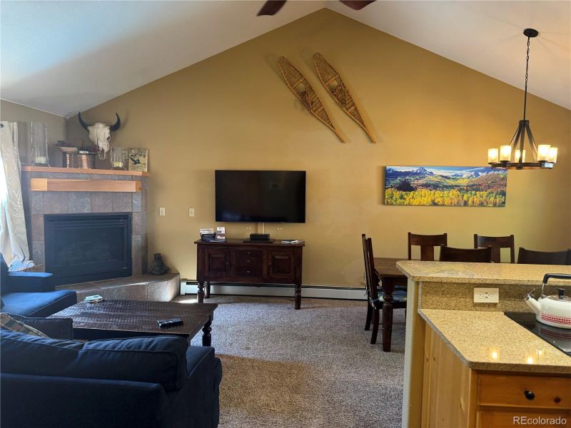 100 Norse Ln #22, Dillon, CO 80435