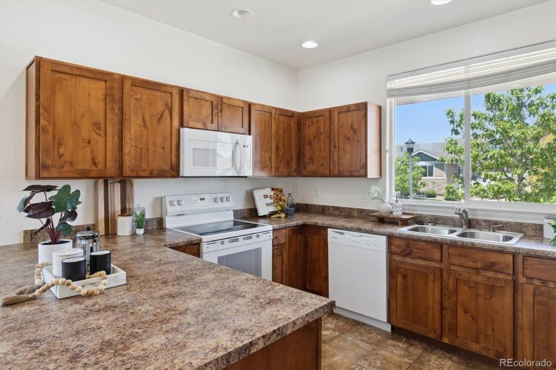 727 Elk Mountain Dr, Severance, CO 80550