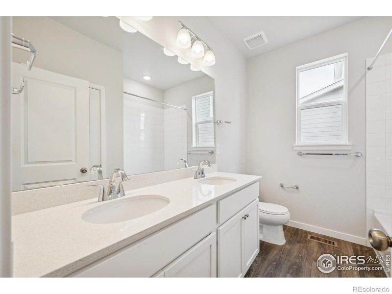 858 Mesic Ln, Windsor, CO 80550