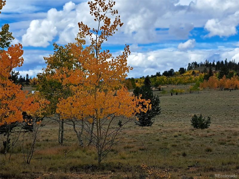 1403 Wampum Ln, Como, CO 80432