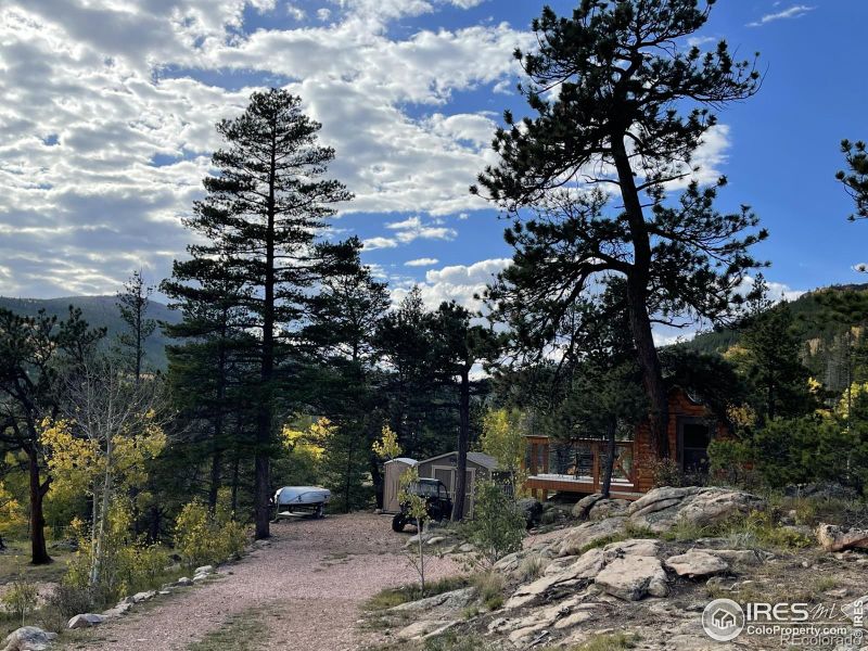 89 Suma Ct, Red Feather Lakes, CO 80545