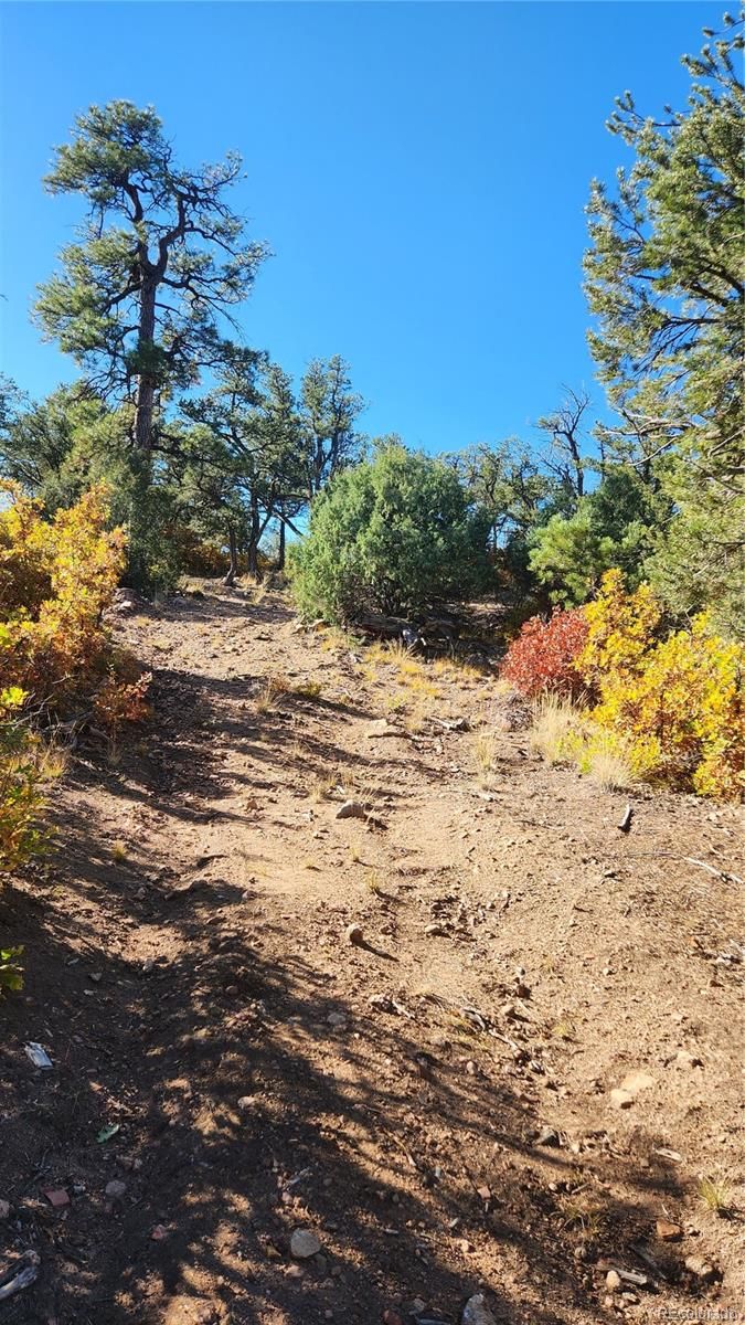 TBD L 42nd Trl, Cotopaxi, CO 81223