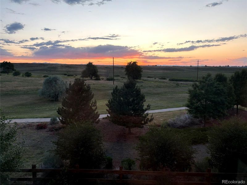 13793 Ashgrove Cir, Parker, CO 80134
